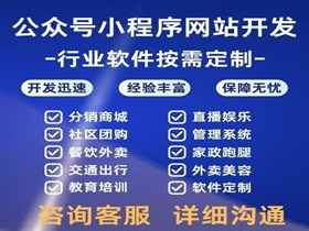 铁门关网站开发